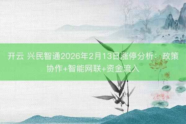 開云 興民智通2026年2月13日漲停分析：政策協作+智能網聯+資金流入